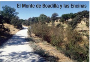 El Monte de Boadilla