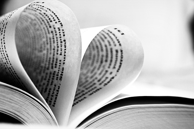 libros leer transporte publico