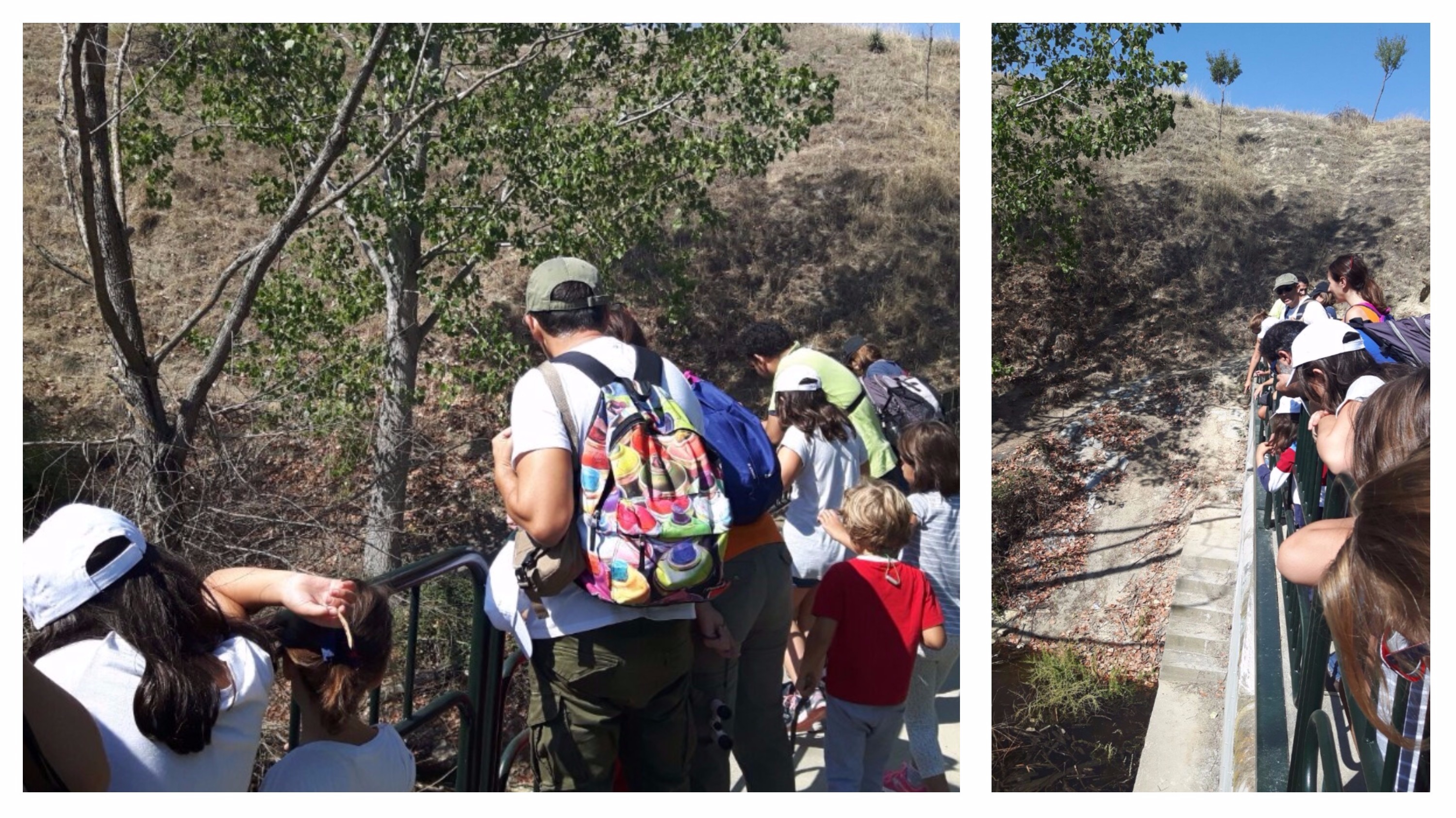 visita guiada arroyo valchico MLo Semana de la movilidad
